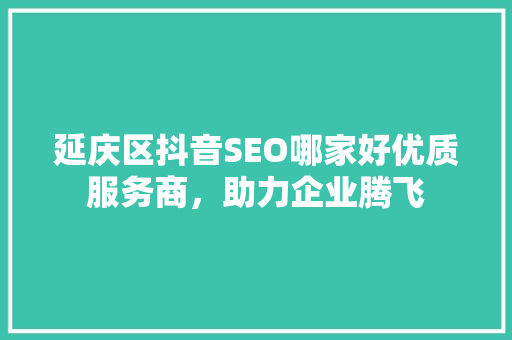 延庆区抖音SEO哪家好优质服务商，助力企业腾飞