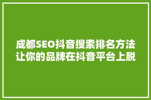 成都SEO抖音搜索排名方法让你的品牌在抖音平台上脱颖而出