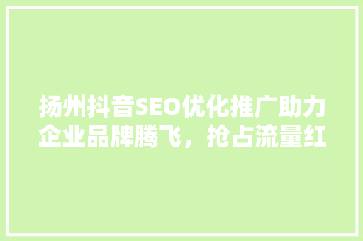 扬州抖音SEO优化推广助力企业品牌腾飞，抢占流量红利