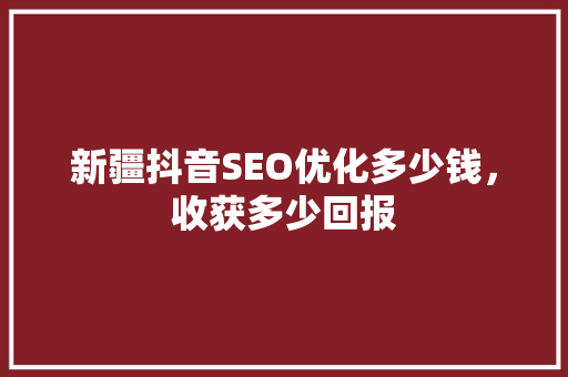 新疆抖音SEO优化多少钱，收获多少回报