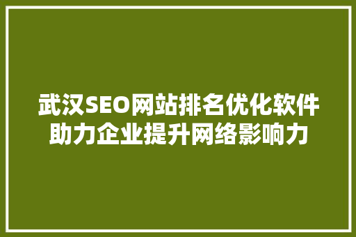 武汉SEO网站排名优化软件助力企业提升网络影响力