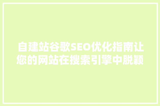自建站谷歌SEO优化指南让您的网站在搜索引擎中脱颖而出