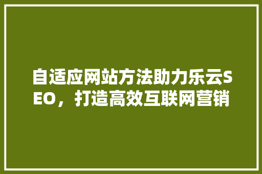 自适应网站方法助力乐云SEO，打造高效互联网营销新格局