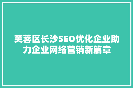 芙蓉区长沙SEO优化企业助力企业网络营销新篇章