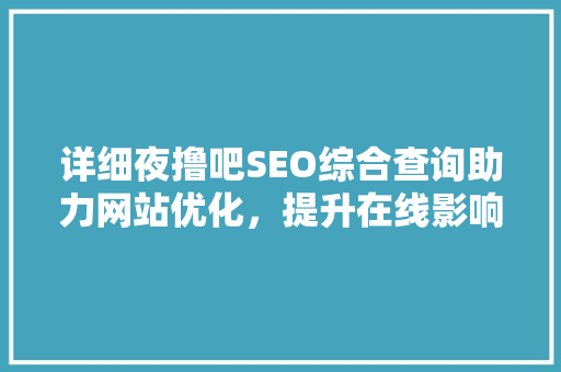 详细夜撸吧SEO综合查询助力网站优化，提升在线影响力