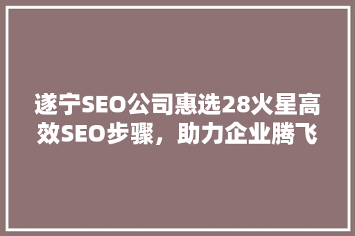 遂宁SEO公司惠选28火星高效SEO步骤，助力企业腾飞