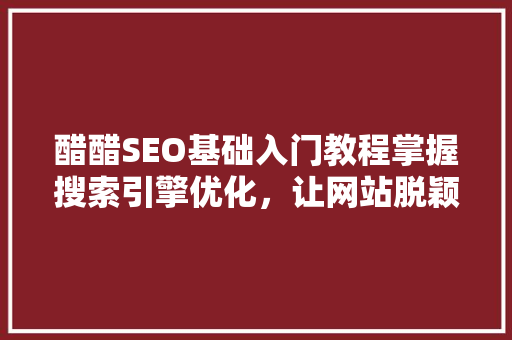 醋醋SEO基础入门教程掌握搜索引擎优化，让网站脱颖而出