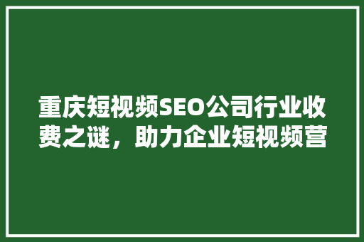 重庆短视频SEO公司行业收费之谜，助力企业短视频营销腾飞