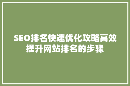 SEO排名快速优化攻略高效提升网站排名的步骤
