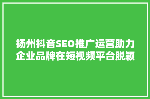扬州抖音SEO推广运营助力企业品牌在短视频平台脱颖而出