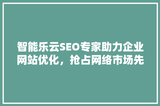 智能乐云SEO专家助力企业网站优化，抢占网络市场先机