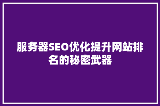 服务器SEO优化提升网站排名的秘密武器