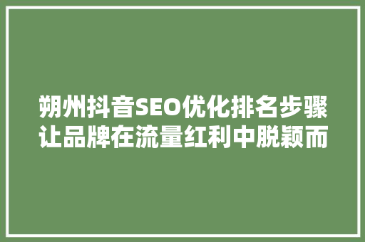 朔州抖音SEO优化排名步骤让品牌在流量红利中脱颖而出