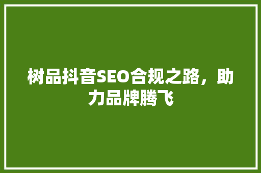 树品抖音SEO合规之路，助力品牌腾飞