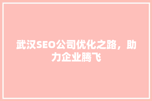 武汉SEO公司优化之路，助力企业腾飞