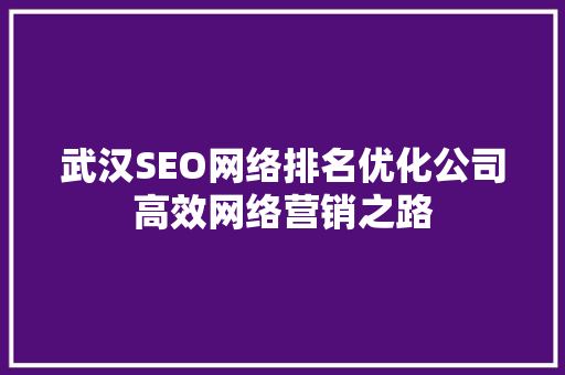 武汉SEO网络排名优化公司高效网络营销之路