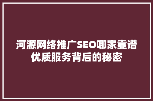 河源网络推广SEO哪家靠谱优质服务背后的秘密