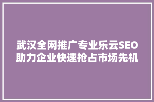 武汉全网推广专业乐云SEO助力企业快速抢占市场先机