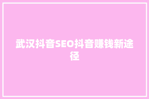 武汉抖音SEO抖音赚钱新途径