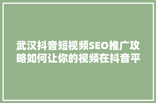 武汉抖音短视频SEO推广攻略如何让你的视频在抖音平台脱颖而出