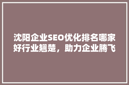 沈阳企业SEO优化排名哪家好行业翘楚，助力企业腾飞