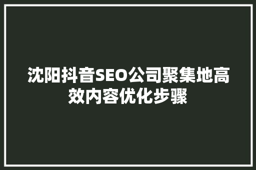 沈阳抖音SEO公司聚集地高效内容优化步骤