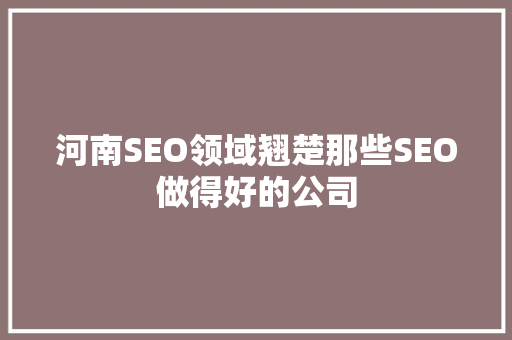 河南SEO领域翘楚那些SEO做得好的公司
