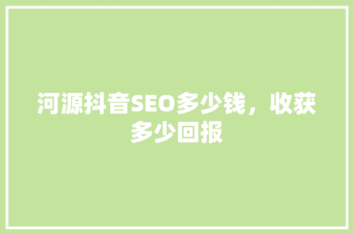 河源抖音SEO多少钱，收获多少回报