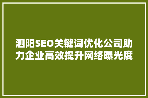 泗阳SEO关键词优化公司助力企业高效提升网络曝光度  第1张