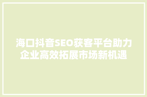 海口抖音SEO获客平台助力企业高效拓展市场新机遇