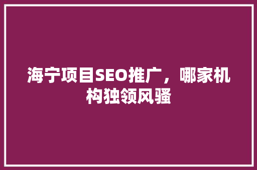 海宁项目SEO推广，哪家机构独领风骚