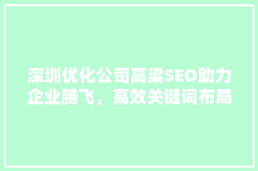深圳优化公司高粱SEO助力企业腾飞，高效关键词布局之路