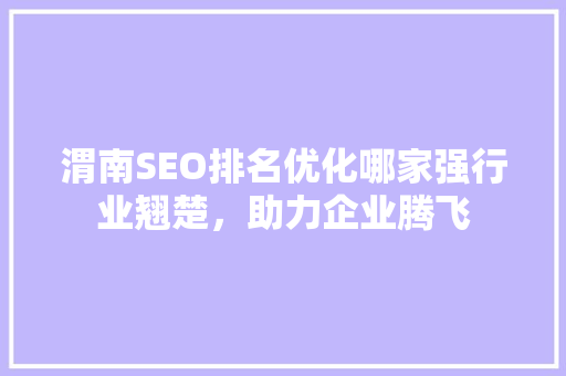 渭南SEO排名优化哪家强行业翘楚，助力企业腾飞
