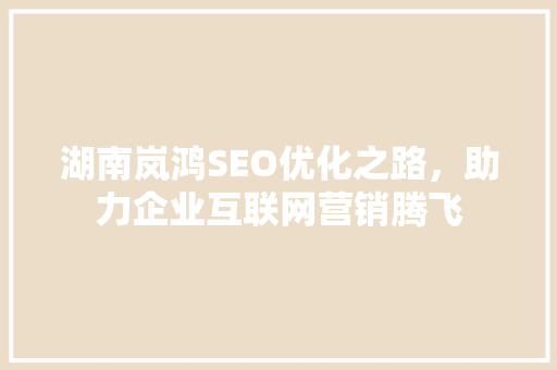 湖南岚鸿SEO优化之路，助力企业互联网营销腾飞