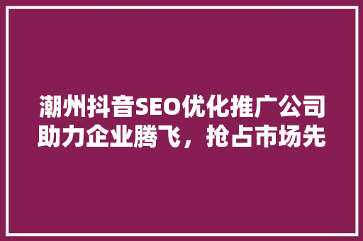 潮州抖音SEO优化推广公司助力企业腾飞，抢占市场先机