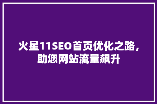 火星11SEO首页优化之路，助您网站流量飙升