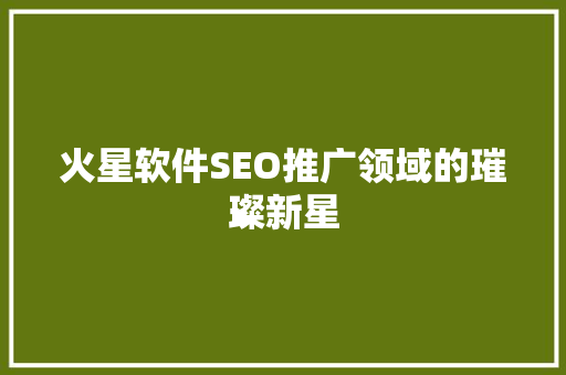 火星软件SEO推广领域的璀璨新星