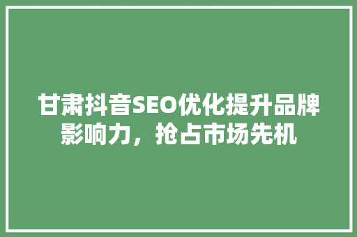 甘肃抖音SEO优化提升品牌影响力，抢占市场先机