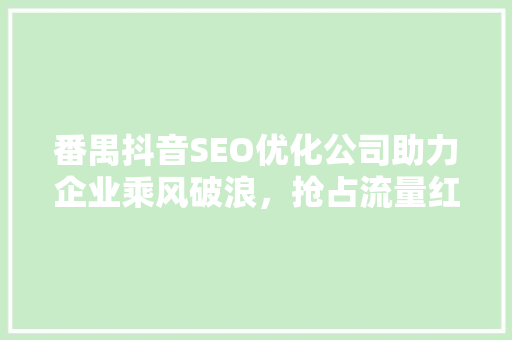 番禺抖音SEO优化公司助力企业乘风破浪，抢占流量红利