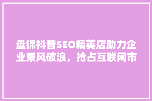 盘锦抖音SEO精英店助力企业乘风破浪，抢占互联网市场制高点
