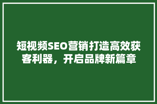 短视频SEO营销打造高效获客利器，开启品牌新篇章