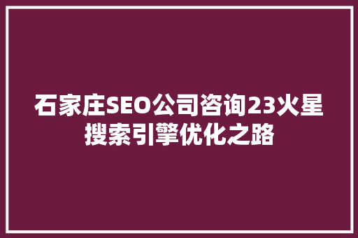 石家庄SEO公司咨询23火星搜索引擎优化之路