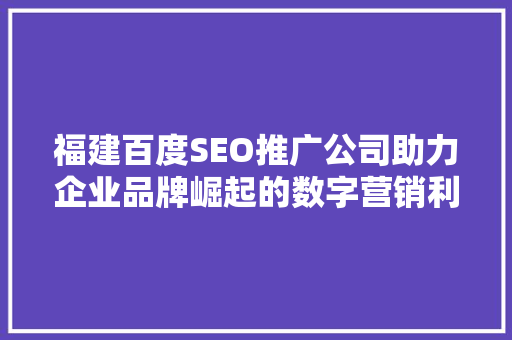 福建百度SEO推广公司助力企业品牌崛起的数字营销利器