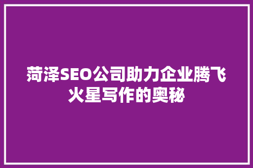 菏泽SEO公司助力企业腾飞火星写作的奥秘