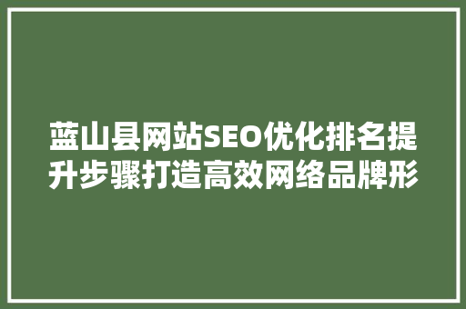 蓝山县网站SEO优化排名提升步骤打造高效网络品牌形象