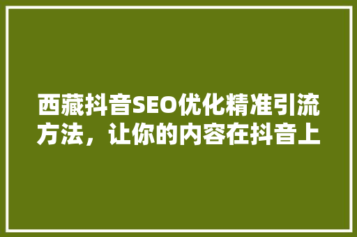 西藏抖音SEO优化精准引流方法，让你的内容在抖音上绽放光彩