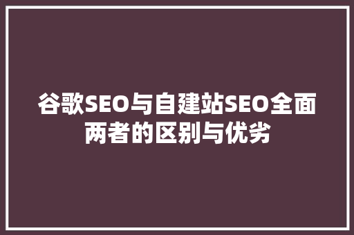 谷歌SEO与自建站SEO全面两者的区别与优劣