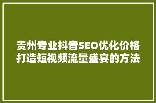 贵州专业抖音SEO优化价格打造短视频流量盛宴的方法