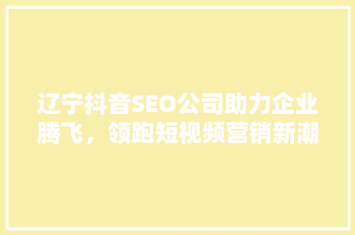 辽宁抖音SEO公司助力企业腾飞，领跑短视频营销新潮流