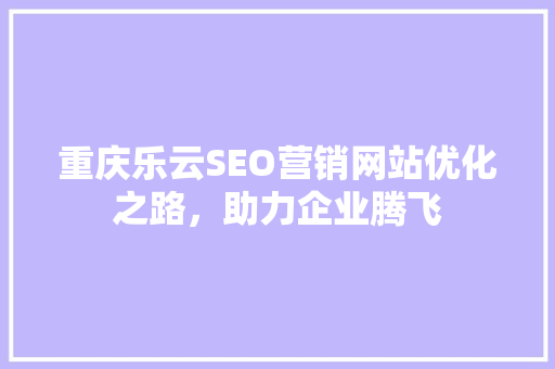 重庆乐云SEO营销网站优化之路，助力企业腾飞